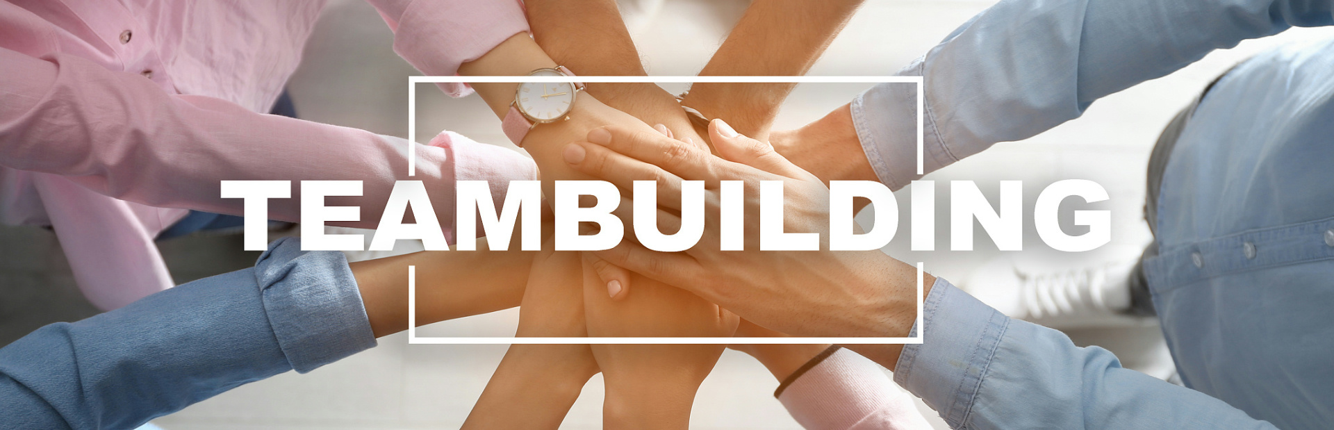 emc易倍·(中国大陆)官方网站